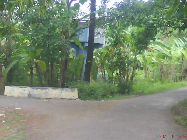 DSC00020